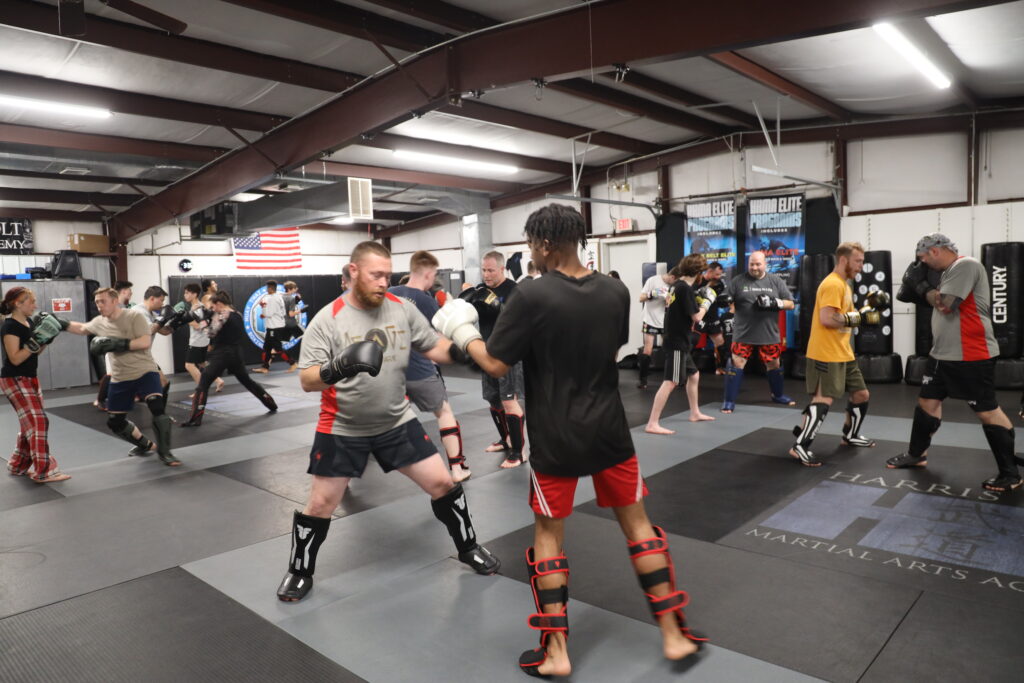 adult mma 13