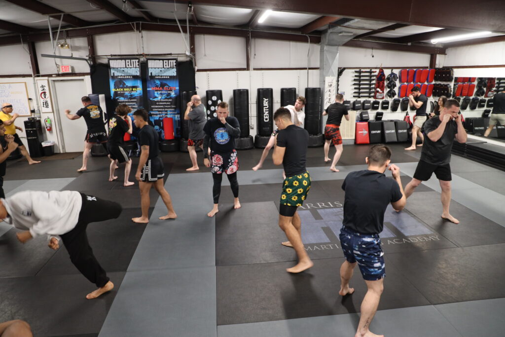 adult mma 3